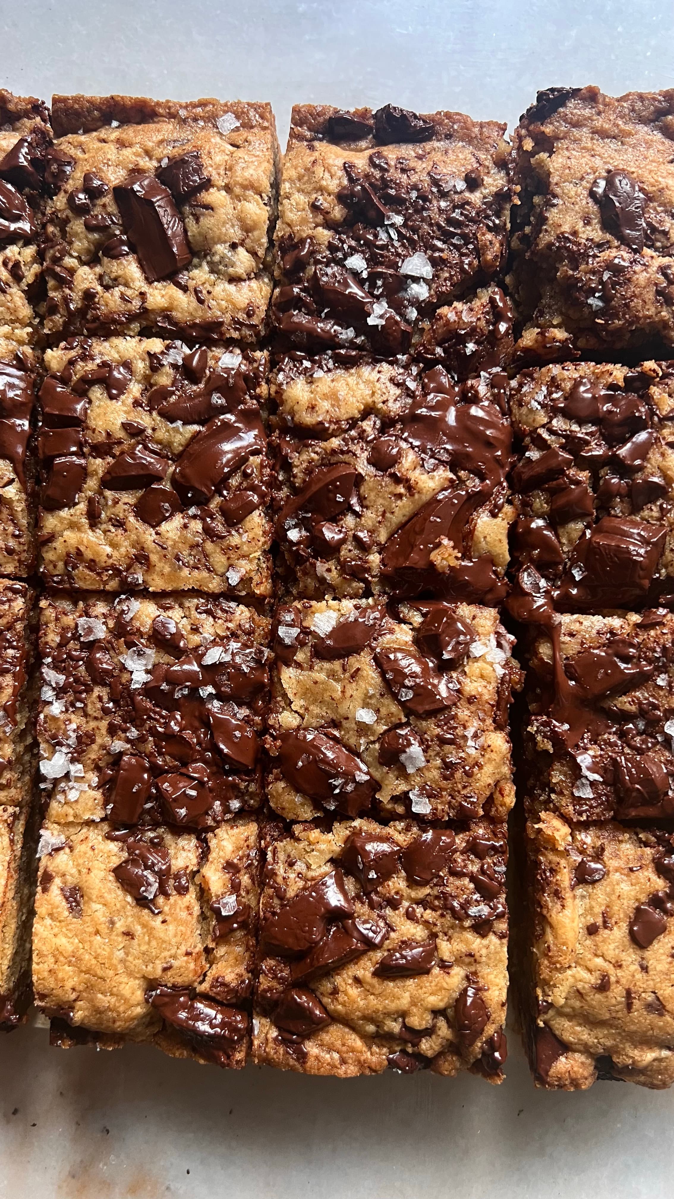 Peanut Butter Chocolate Chip Blondies