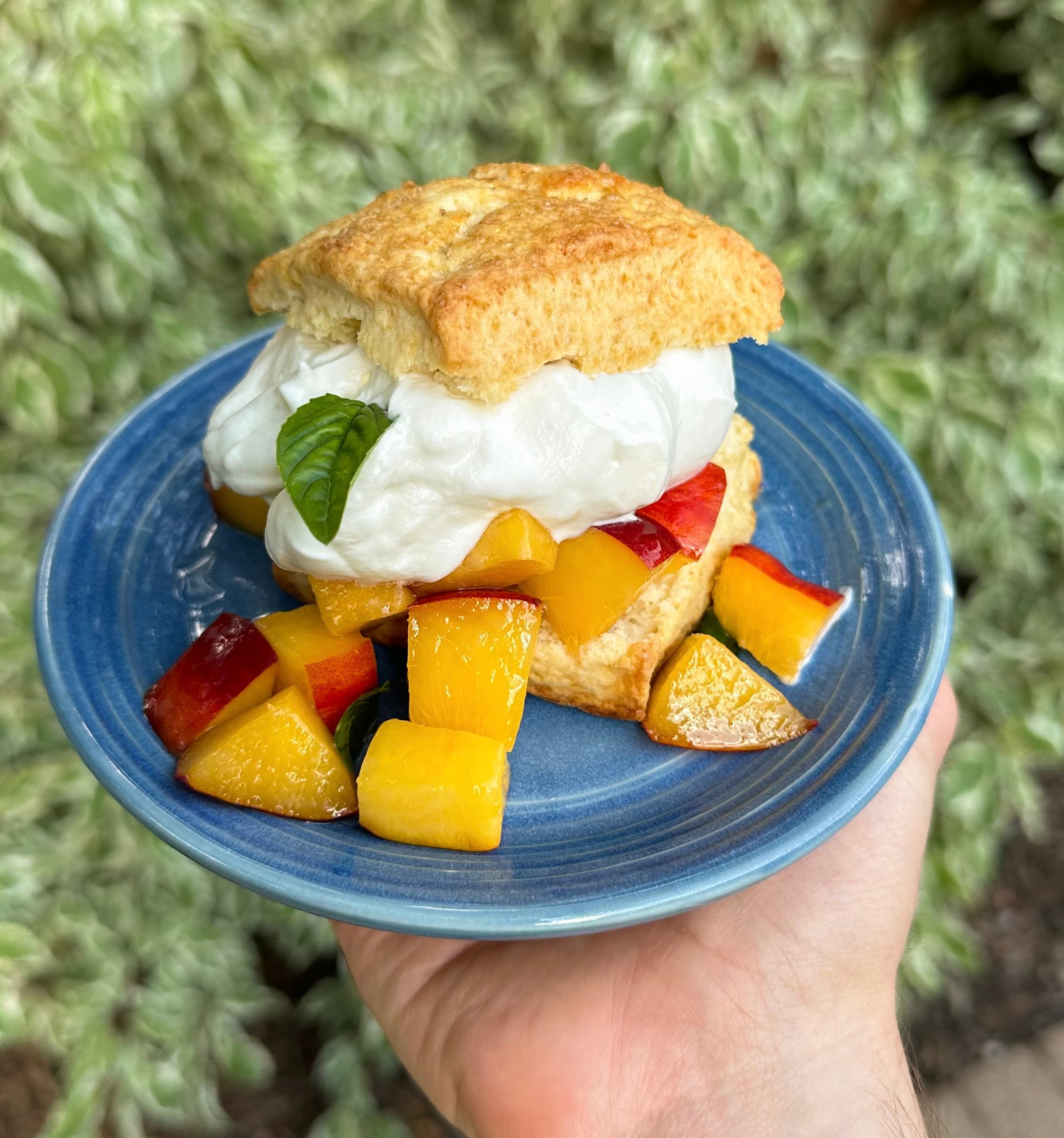 Small Batch Peach Shortcake