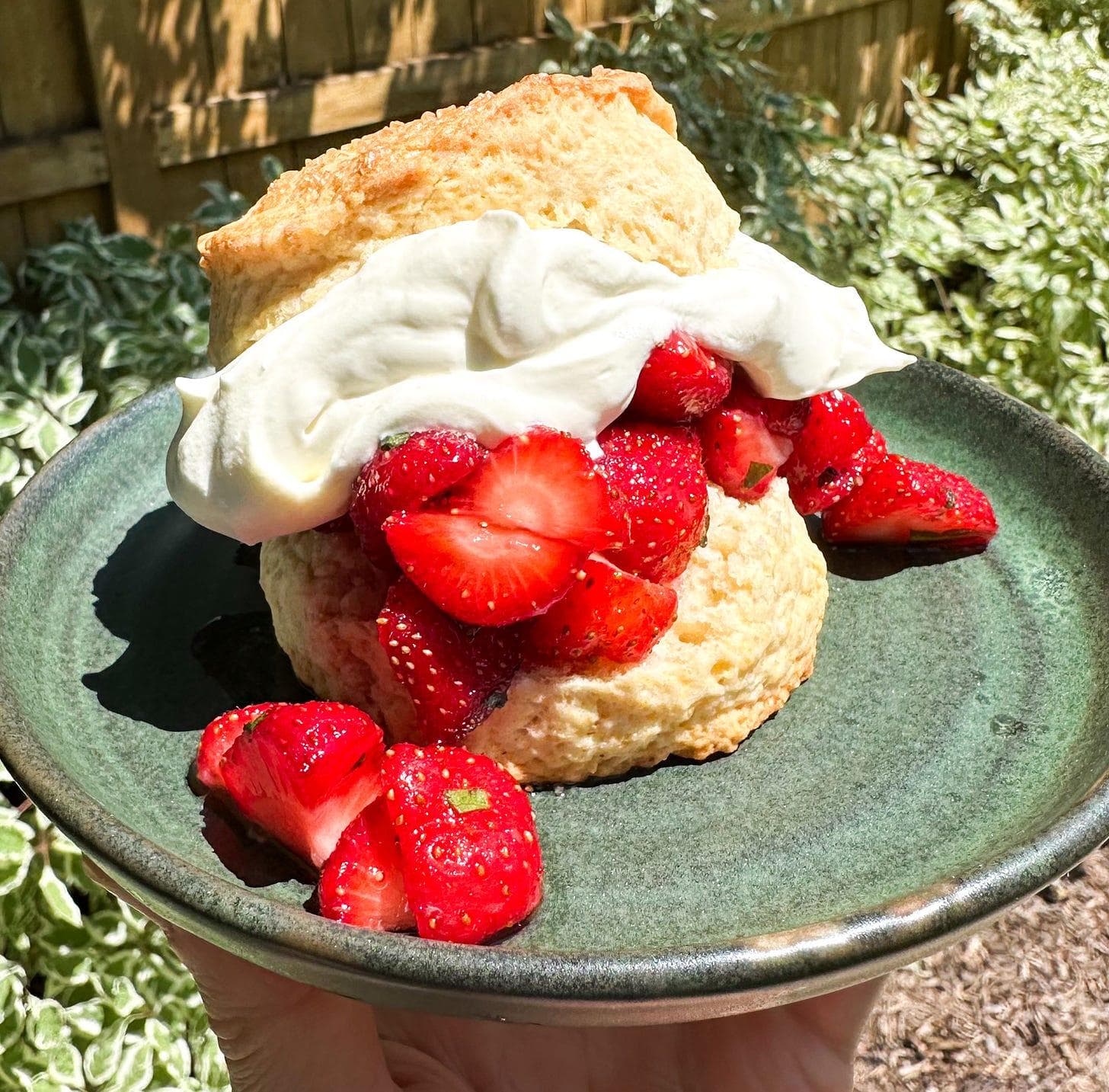 Small Batch Strawberry Shortcake